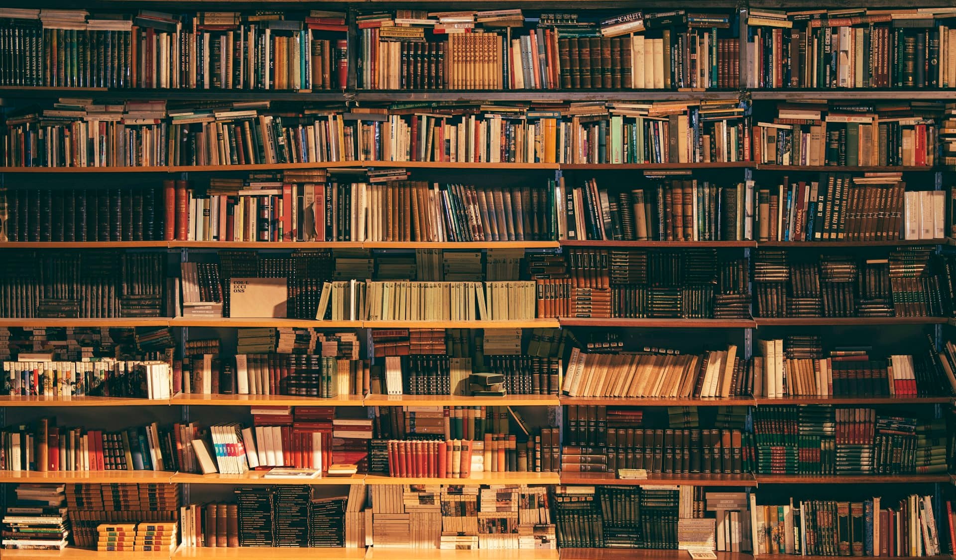 Library shelves full of books